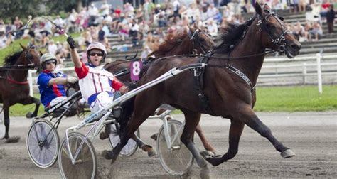 dantoto trav resultater|resultater travløb.